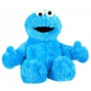 Sesame street Cookie Monster