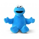 Sesame Street Beanie Cookie Monster
